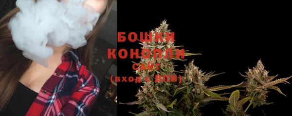 кокс Белокуриха