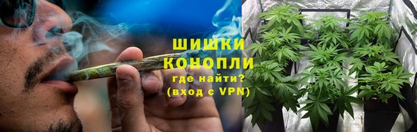кокс Белокуриха