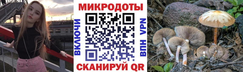 Псилоцибиновые грибы Magic Shrooms  kraken   Светлый 